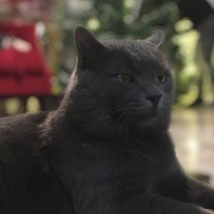 Meet your Posher, Deborah